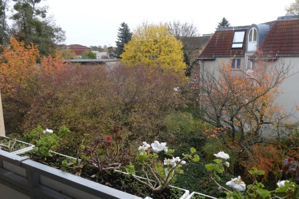 Schoene, Ruhige Wohnung In Berlin-Steglitz 外观 照片