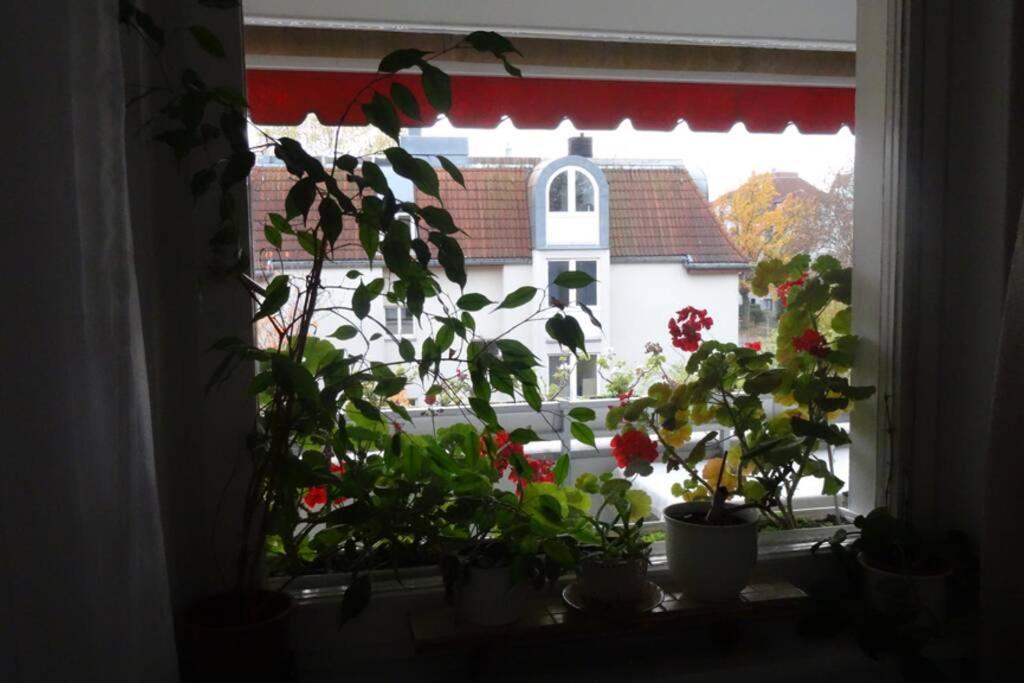 Schoene, Ruhige Wohnung In Berlin-Steglitz 外观 照片